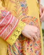 Sunehri Gulnaar Paisley Muslin Festive Farshi Suit - Image 4